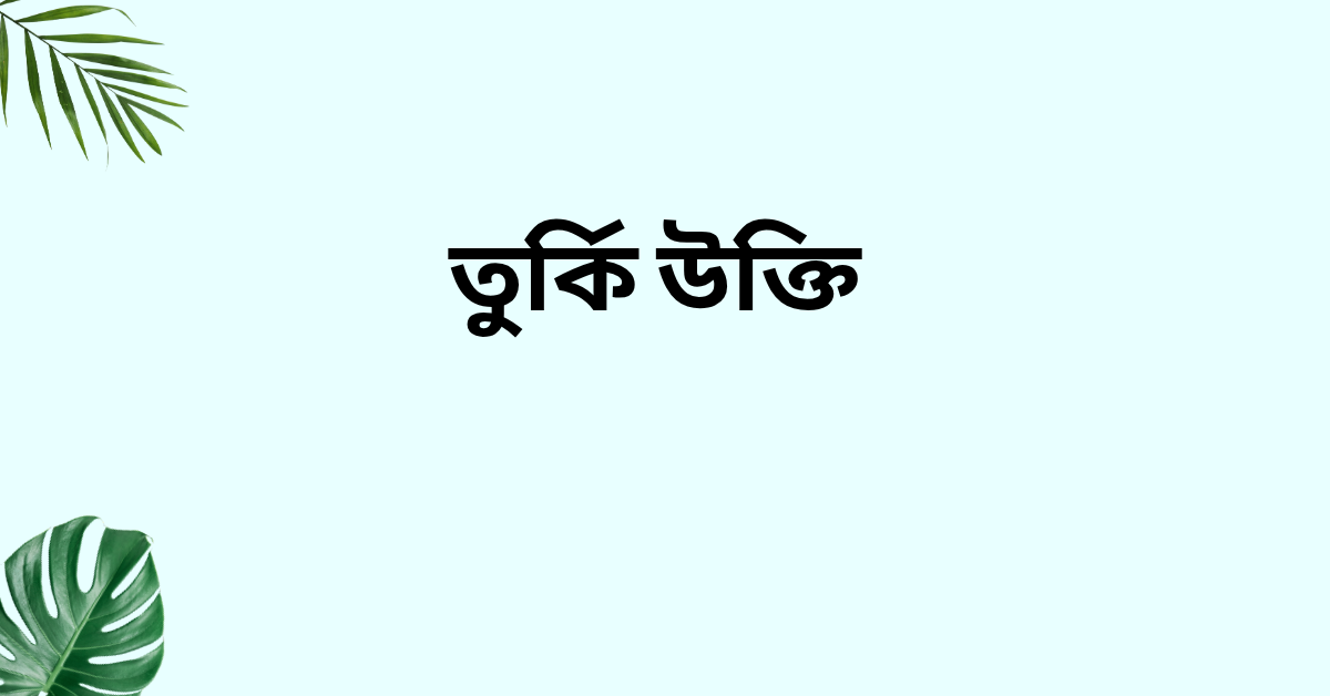 তুর্কি উক্তি - জীবনের জন্য সেরা দিকনির্দেশনামূলক বাণী 1 তুর্কি উক্তি