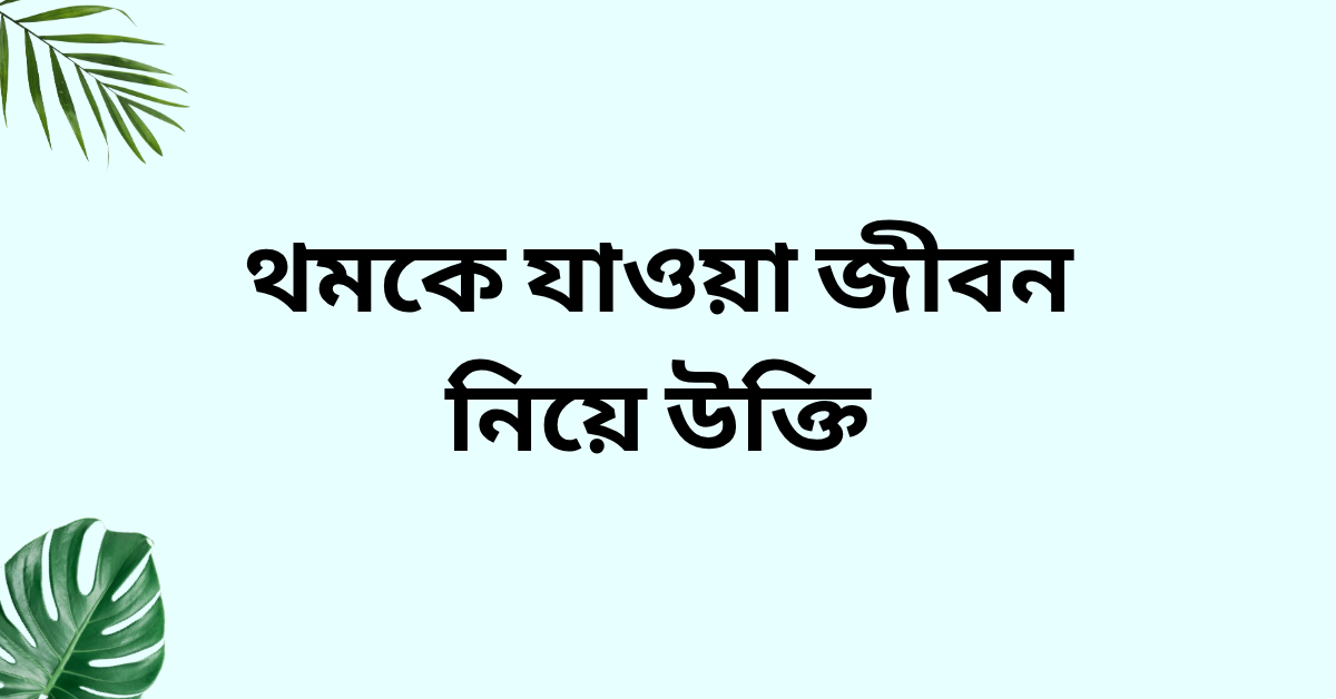 থমকে যাওয়া জীবন নিয়ে উক্তি - বাছাইকৃত সেরা উক্তি ক্যাপশন 1 থমকে যাওয়া জীবন নিয়ে উক্তি