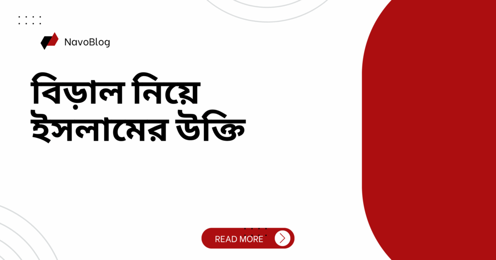 বিড়াল নিয়ে ইসলামের উক্তি