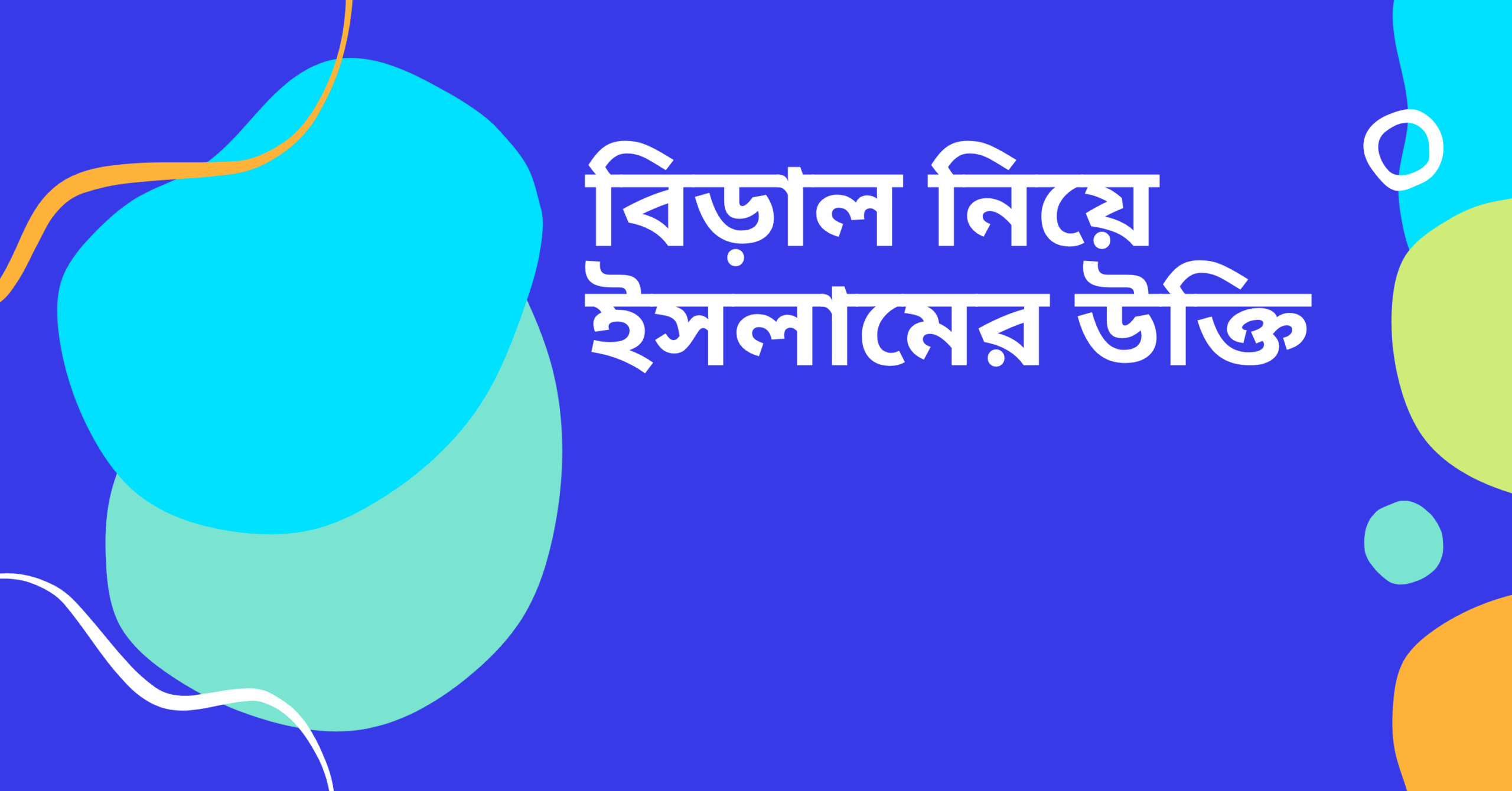 বিড়াল নিয়ে ইসলামের উক্তি – জীবনের জন্য সেরা দিকনির্দেশনামূলক বাণী 1 বিড়াল নিয়ে ইসলামের উক্তি