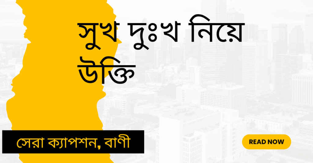 সুখ দুঃখ নিয়ে উক্তি